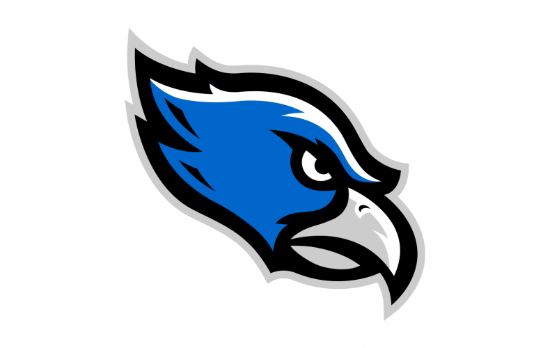 Farmington Valley Hawks Baseball Club logo