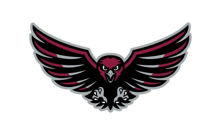 Farmington River Hawks Logo